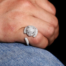 Cargar imagen en el visor de la galería, Anillo Gato Plata Ley 925-Moissanitas